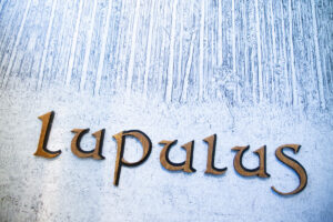 Lupulus