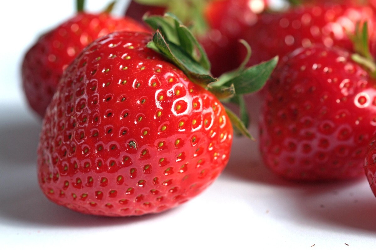 Aardbei