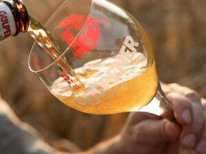 Grolsch neemt Gulpener over