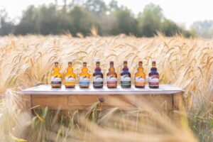 Vicaris Tripel/Gueuze